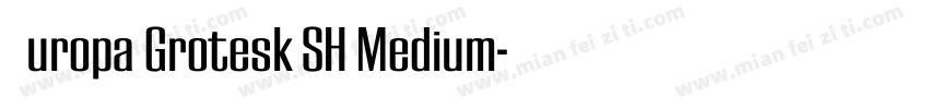 Europa Grotesk SH Medium字体转换